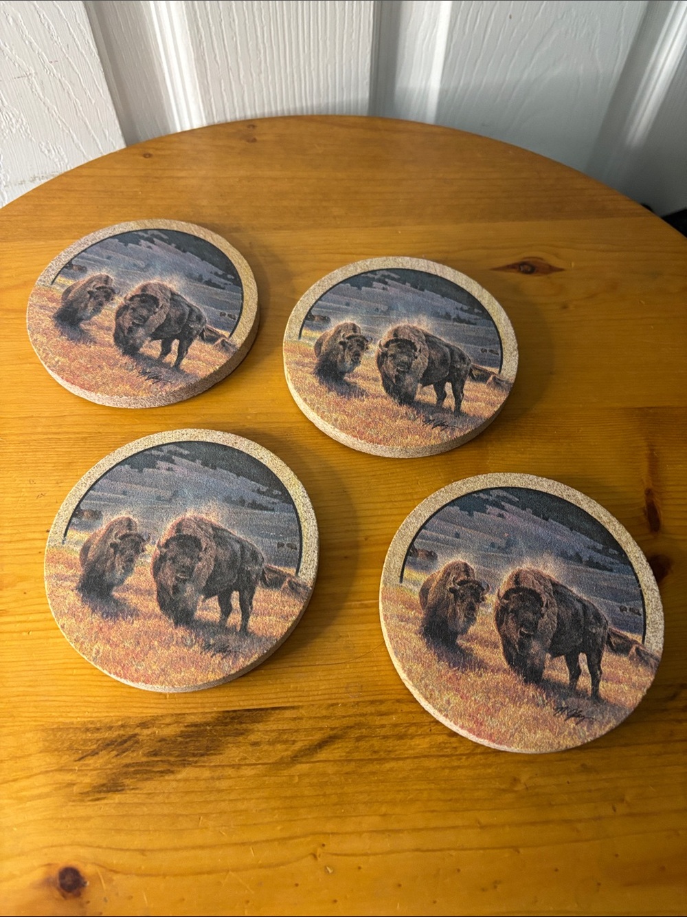 Thirsty Stone Set of 4 Round Buffalo Cork Coasters